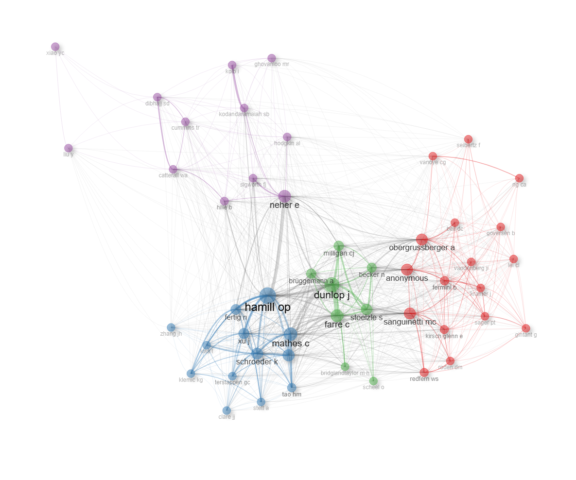 4.2.1_co_citation_network__field-cited_authors__network.png